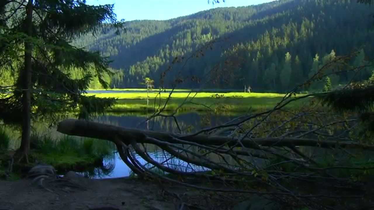 Luftkurort Lam im Bayerischen Wald