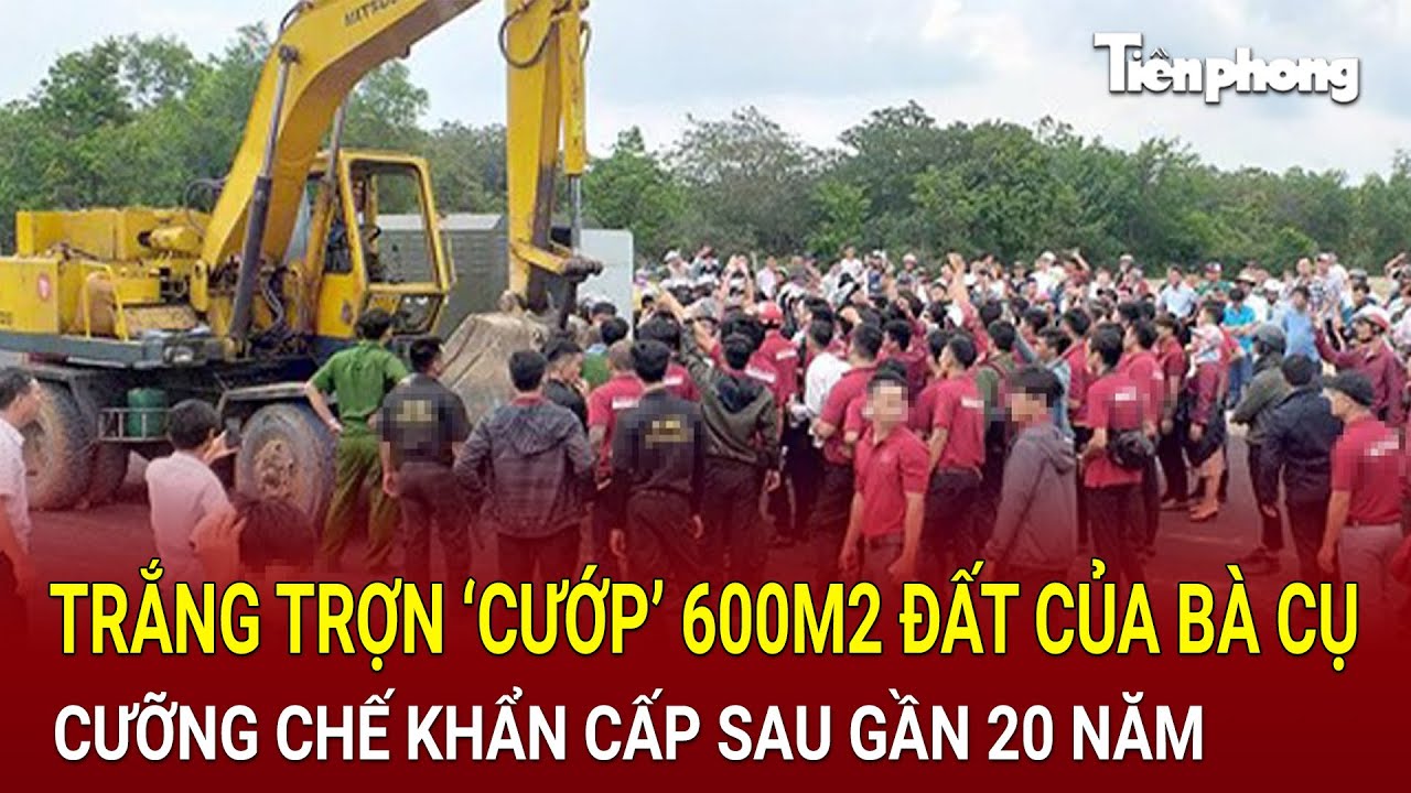 Bản tin thời sự: Trắng trợn ‘cướp’ 600m2 đất của bà cụ U80, cưỡng chế khẩn cấp sau gần 20 năm