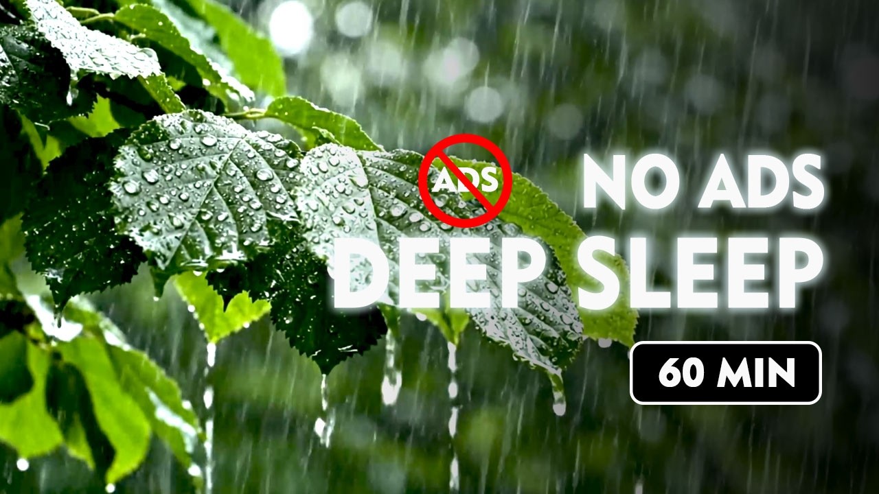 Rain Sounds for Sleeping - ASMR Rain For Sleeping - Deep Sleep with Relaxing Rain Sounds #rain