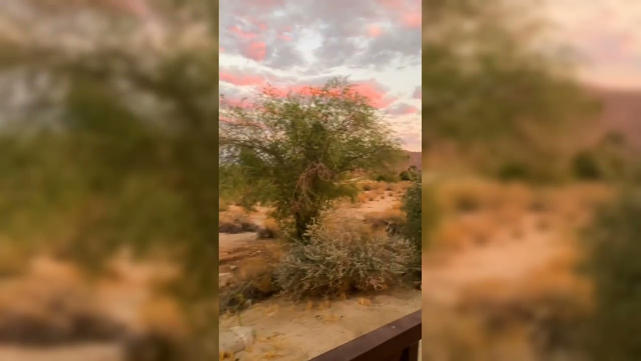 الاغنيه التي ابدعت  فيها مجموعة المرجان
