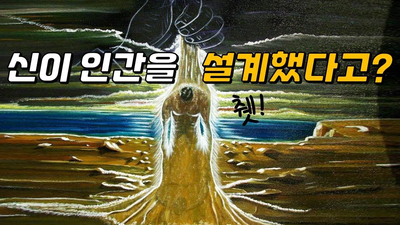 신이 만들었다기엔 너무 엉망으로 설계된 인체! (ft.실패한 진화?)