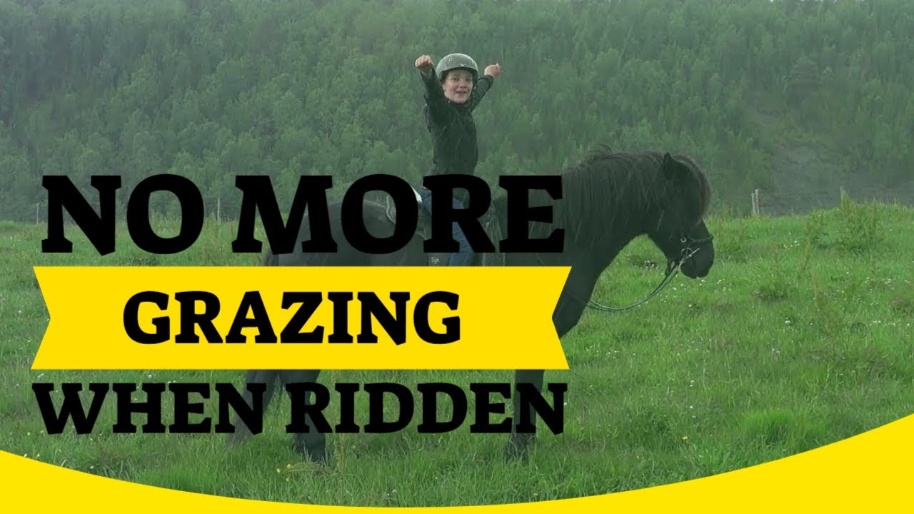 Make your horse easy to ride on loose reins in the grass - even for kids