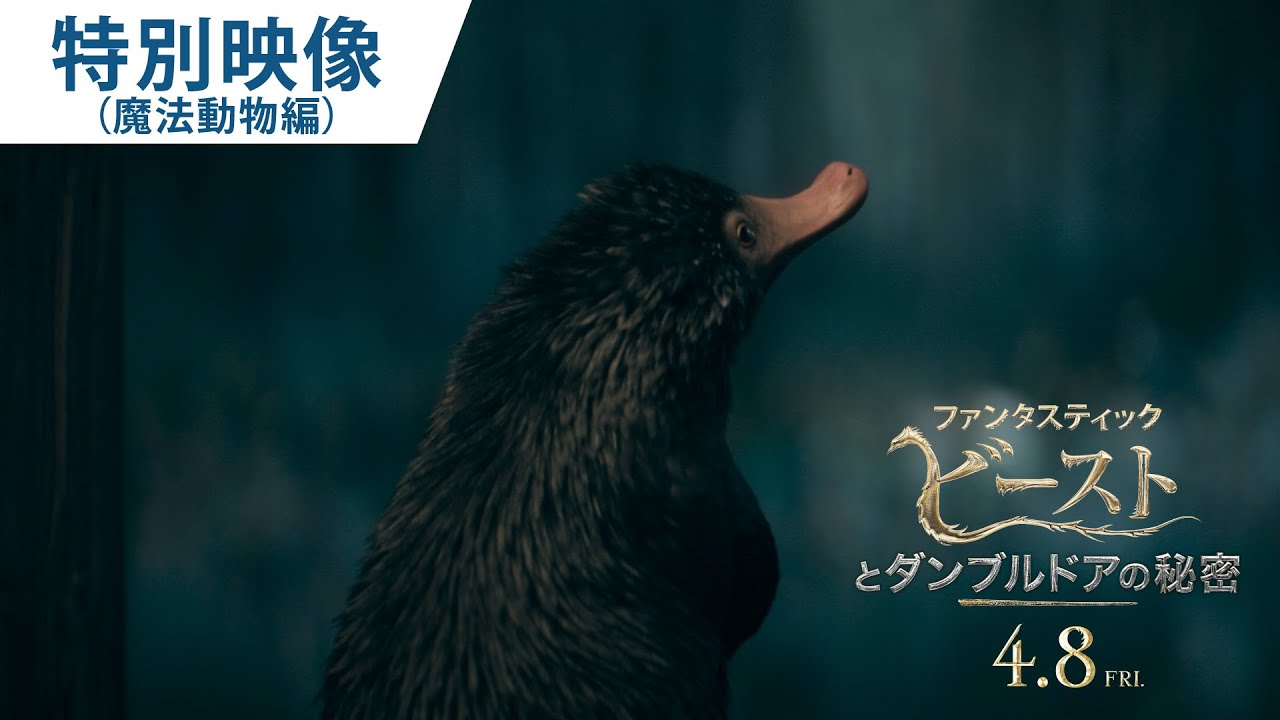 映画『ファンタスティック・ビーストとダンブルドアの秘密』特別映像（魔法動物編）2022年4月8日（金）公開