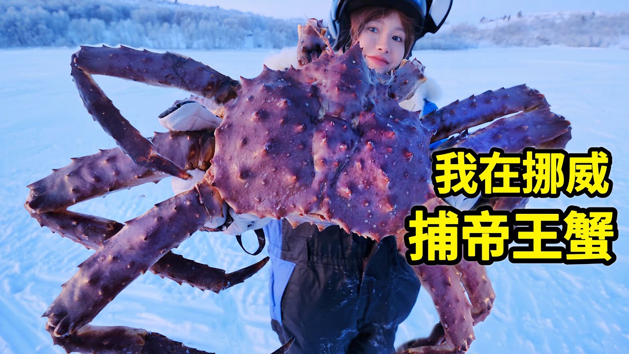 挪威抓帝王蟹，世界最大红王蟹现捕现吃！极北之地的鲜美味道 | 帝王蟹 | 挪威 | 极光 | 海鲜 | 螃蟹 |