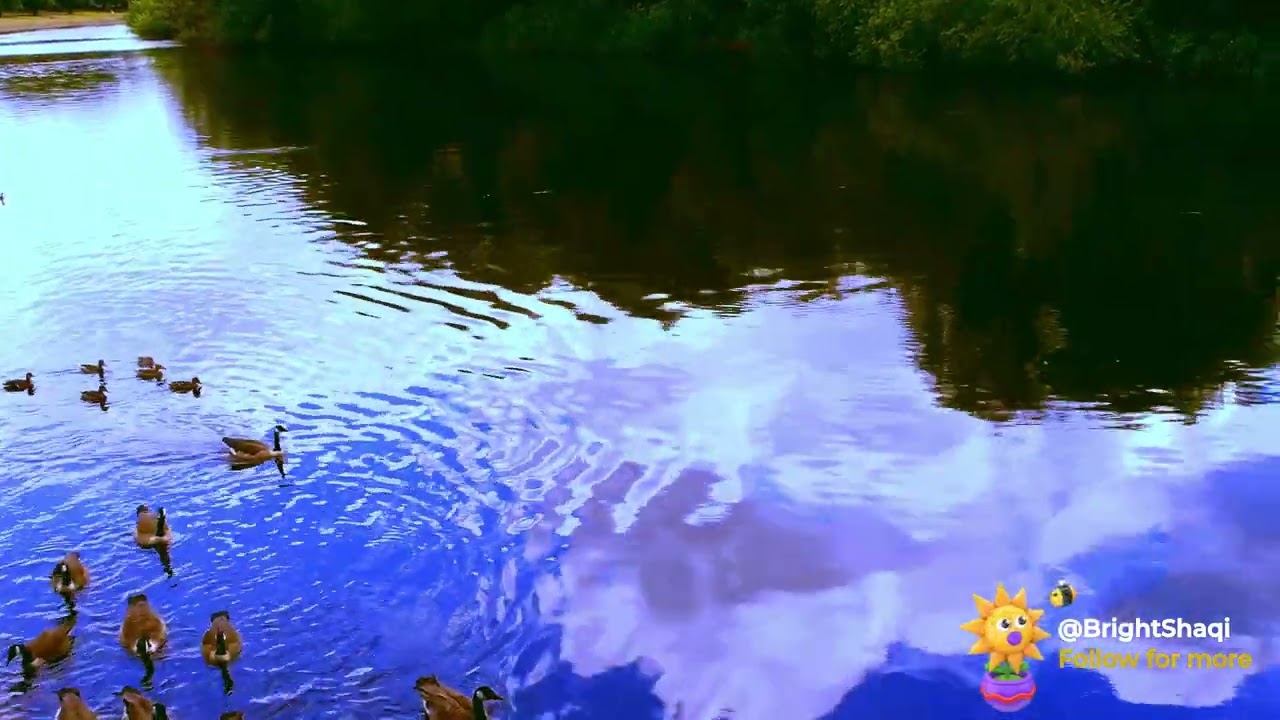 Relax and Sleep Instantly with the 1hour Gentle Nature River