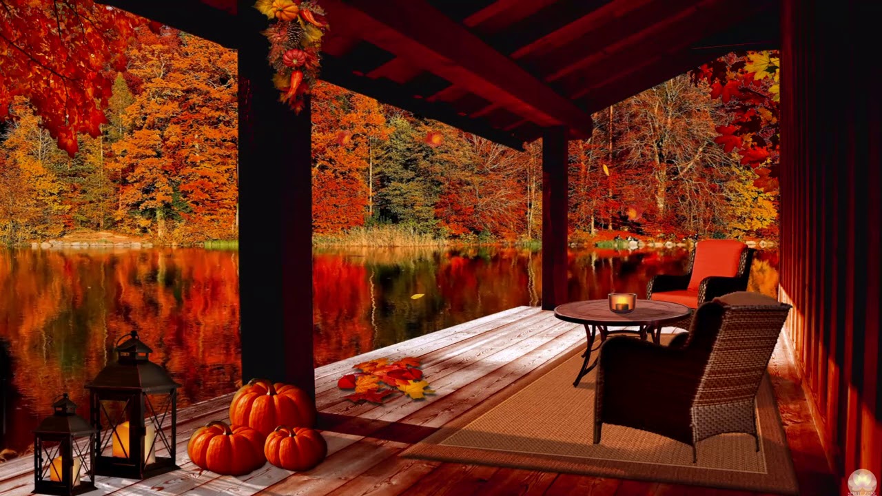 Cozy Autumn Porch Ambience - relaxing Autumn Rain Sounds on Cabin Porch | study, sleep & relax 🍂🍁
