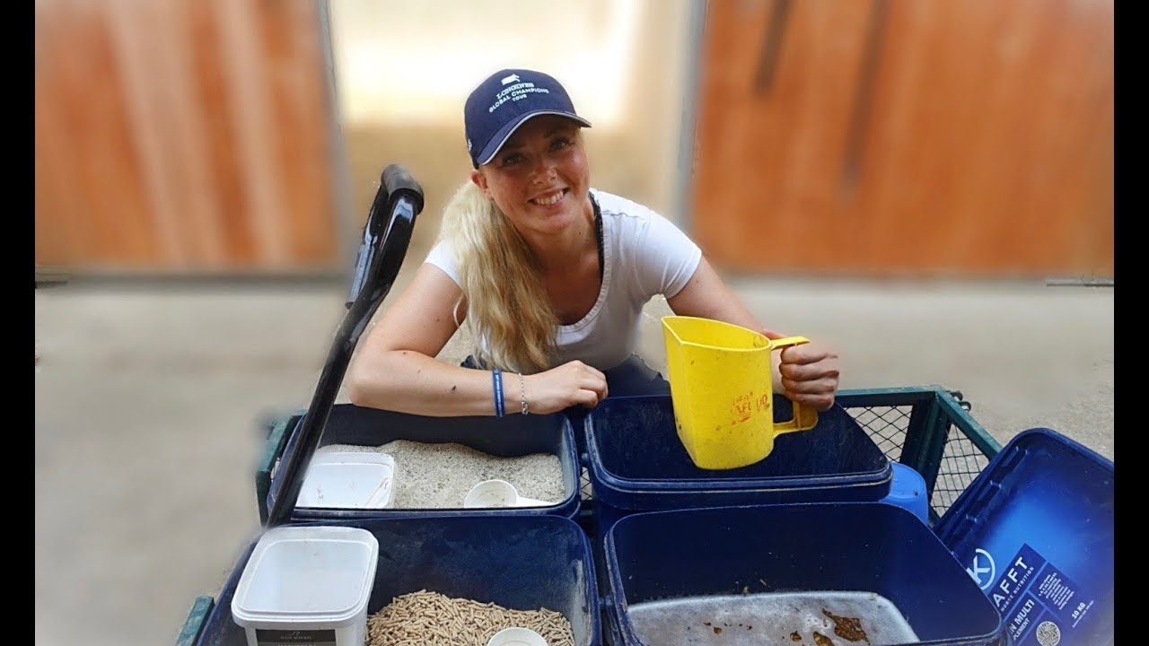 MINA HÄSTARS FODERRUTIN