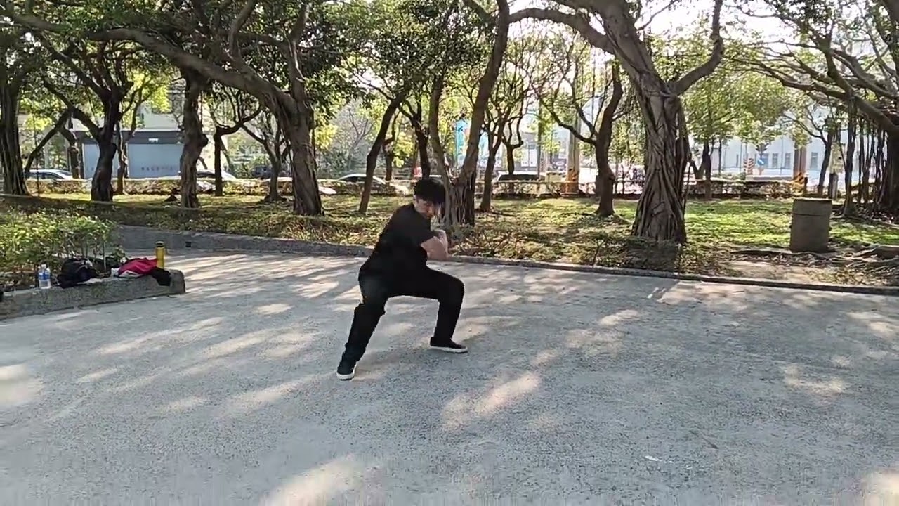 洪家十字八方基礎拳