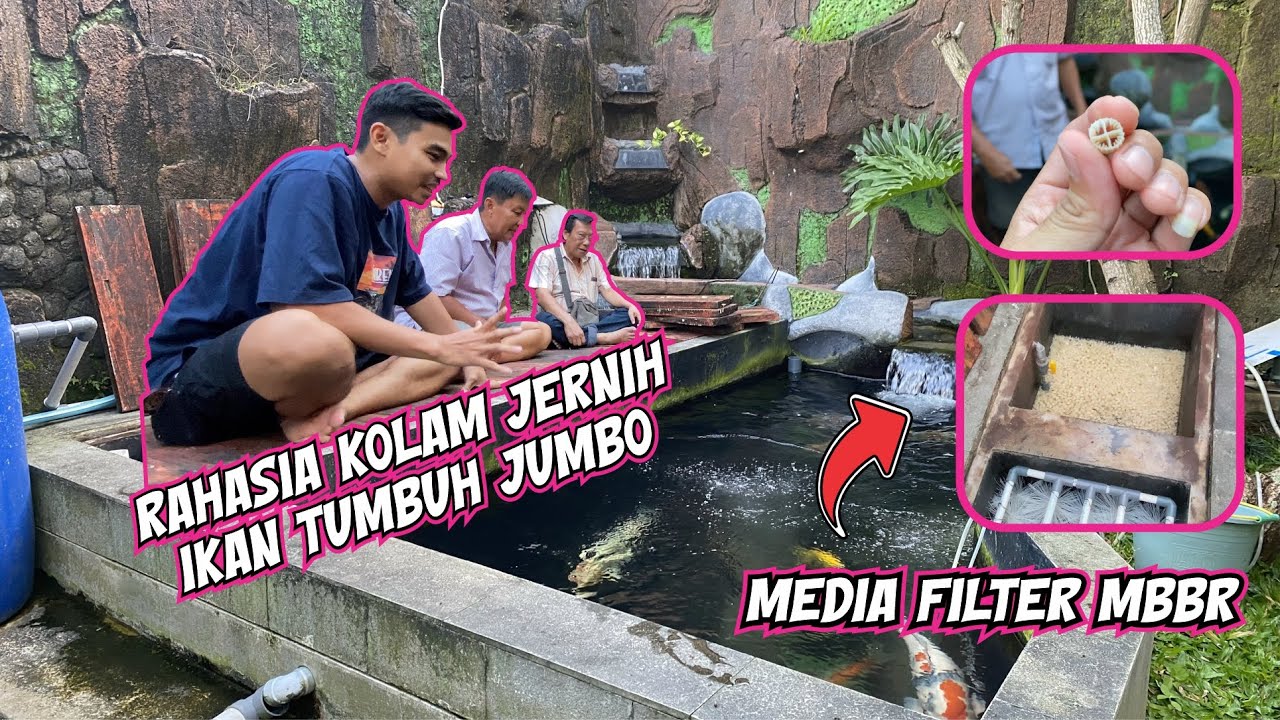 REVIEW MEDIA FILTER MBBR BIKIN AIR KOLAM JERNIH⁉️IKAN TUMBUH MAKSIMAL‼️