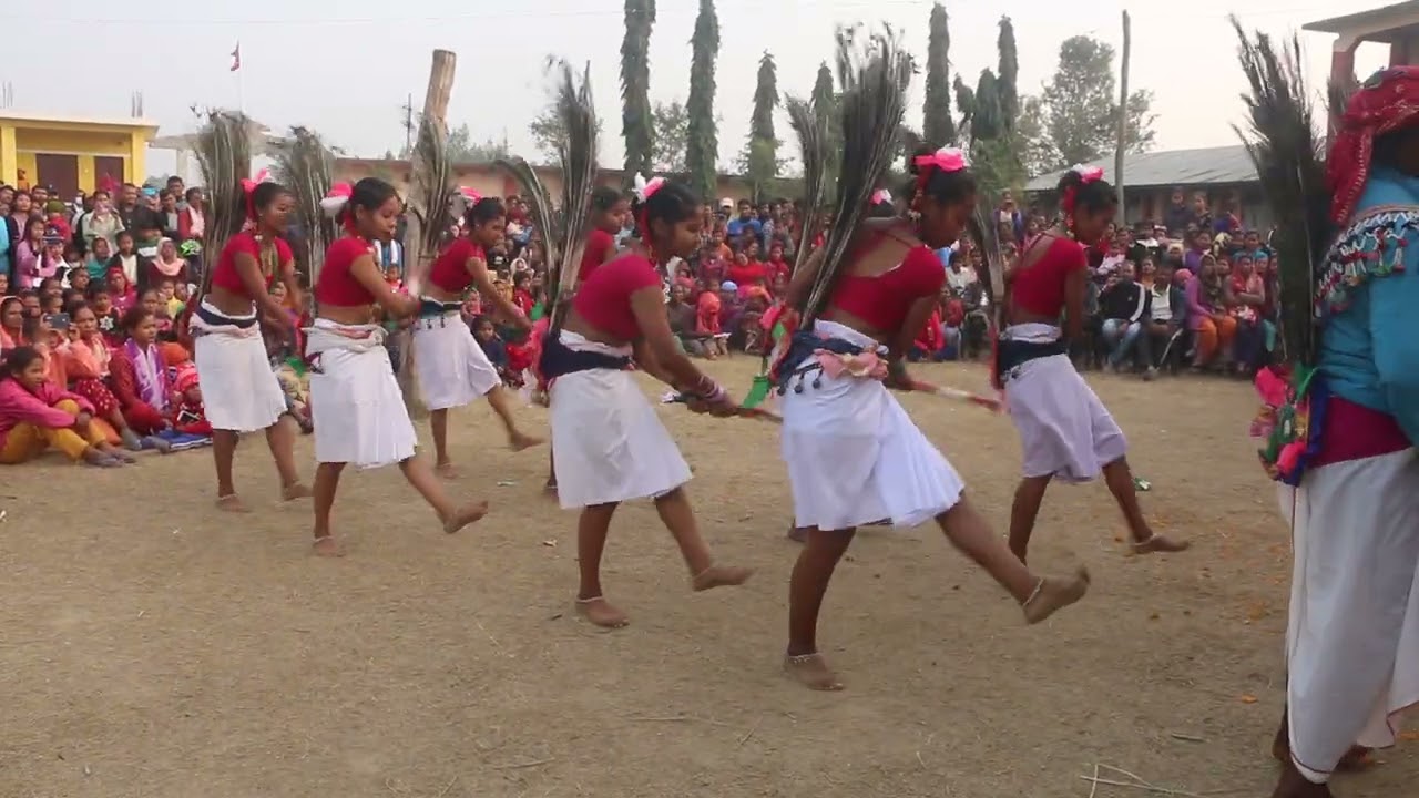 Tharu Stick Dance थारु लठठौह्वा नाच