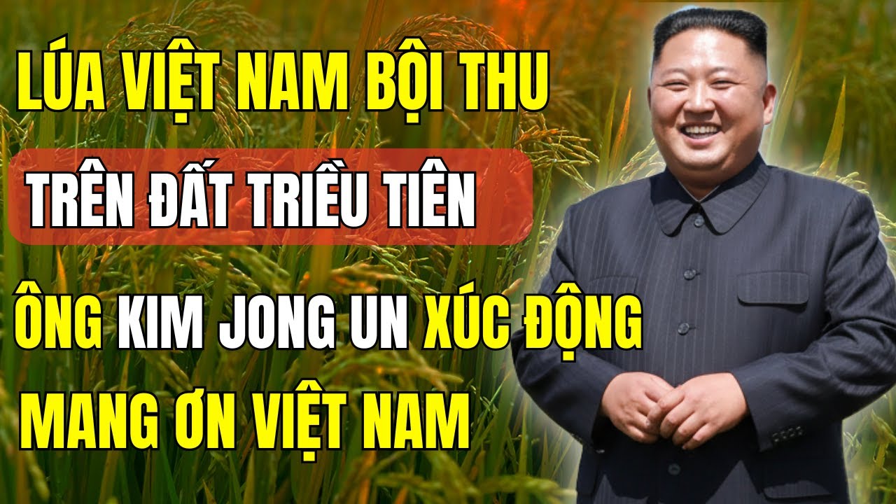 Bất Ngờ: Lúa Việt Nam Bội Thu Trên Đất Triều Tiên, Ông Kim Jong Un Mang Ơn Việt Nam