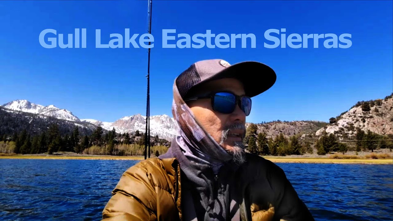 Hot Trout Bite at Gull Lake Eastern Sierras