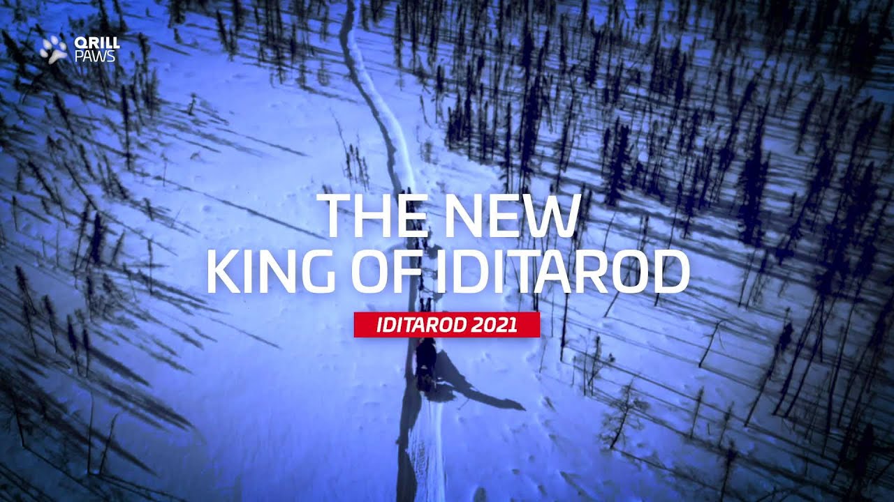The New KING of Iditarod | QRILLPAWS 2021