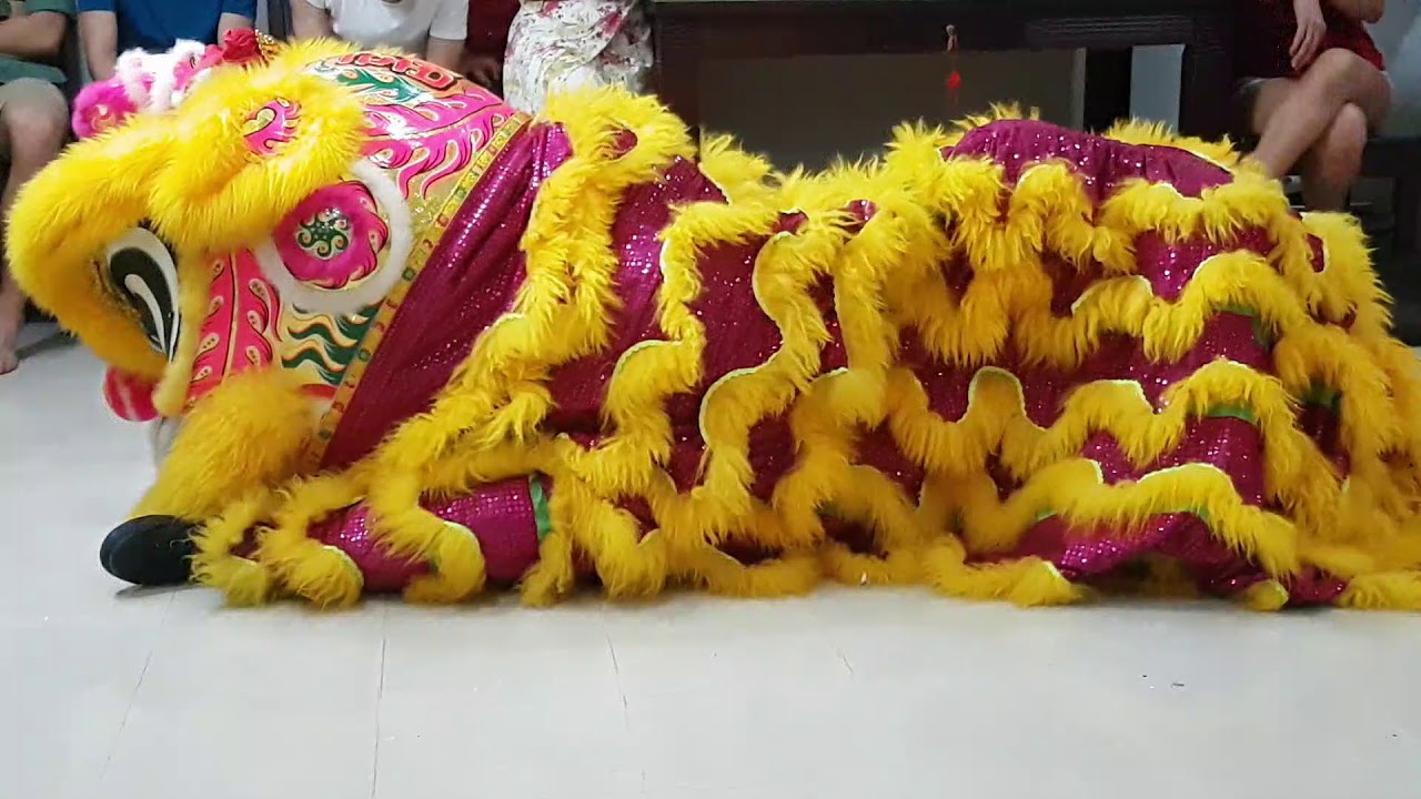 Chinese New Year CNY 2019 Lion Dance House Blessing