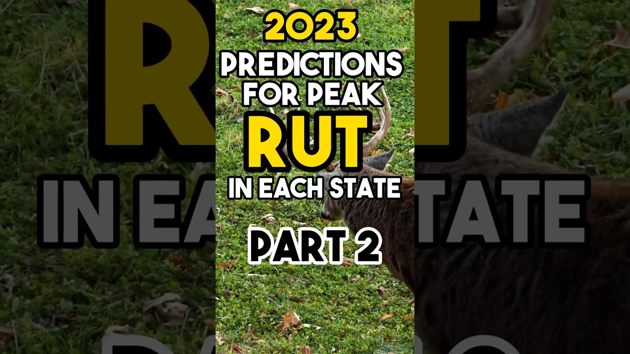 Projected Whitetail Peak Rut in each State for the 2023 season Part 2. #whitetaildeer #deerseason