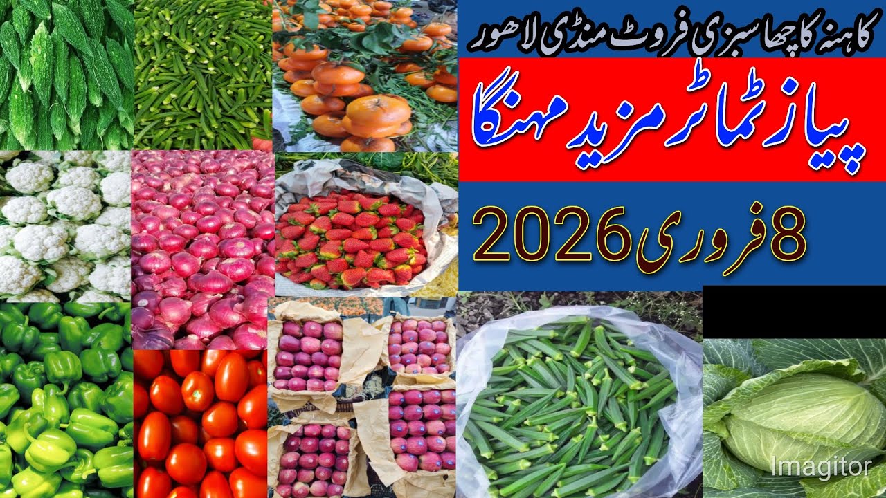 کاہنہ کاچھا سبزی منڈی لاھور اپڈیٹ  🫛🥦🥒🫑🥕🫚🥔 8/2/2026  پیاز ٹماٹر مہنگا  #eating #vegitablemarket 