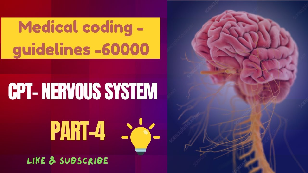 CPT  NERVOUS SYSTEM  4