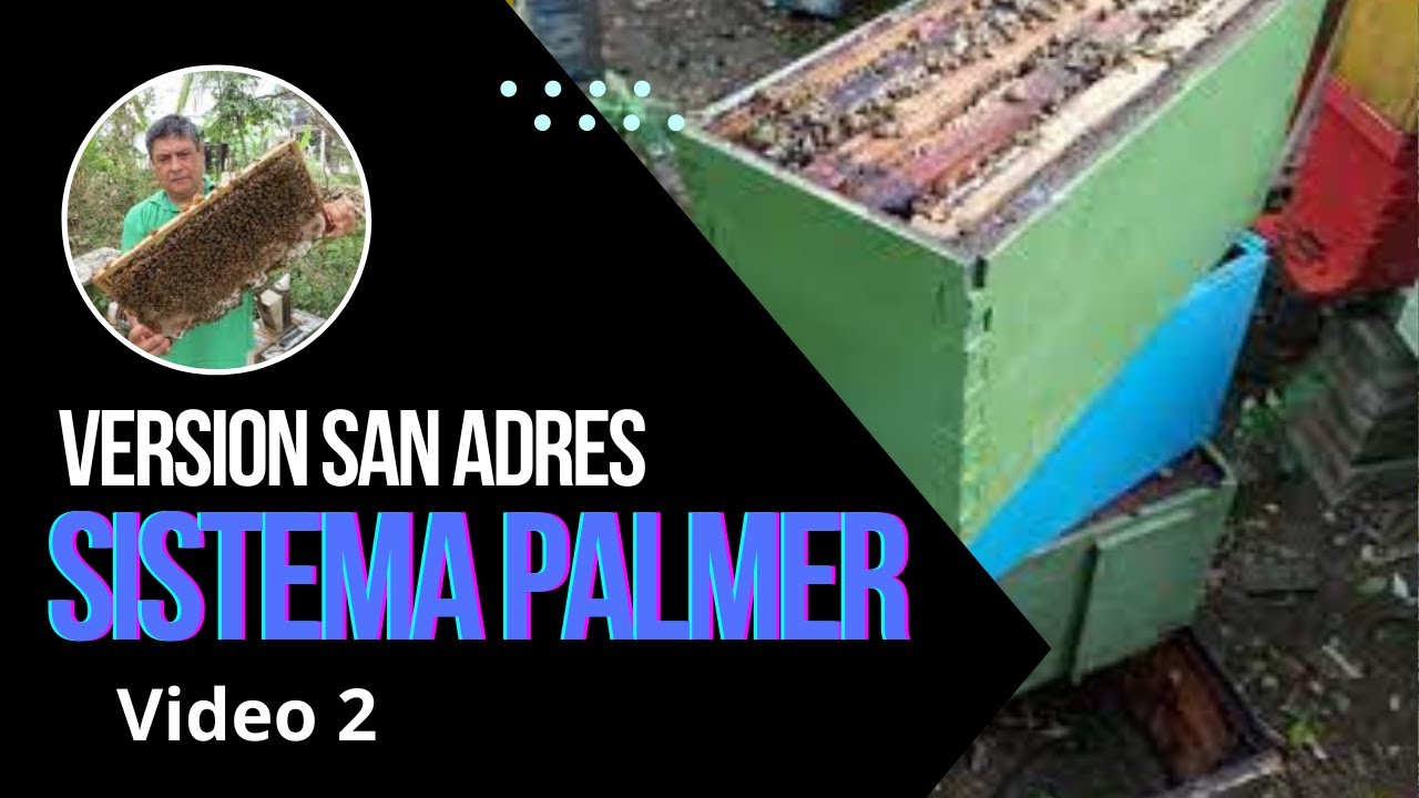 Como es el Sistema Palmer version San Andres  en Cría de abejas reinas  VIDEO 2