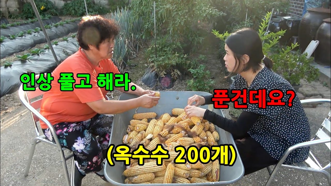 시어머니가 며느리 왔을때만 일을 만들어서 한다면?