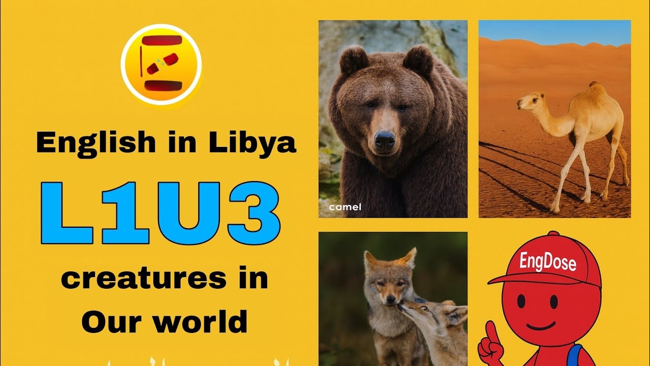 اللغة الانجليزية الوحدة الثالثة الدرس الاولى | L1U3 للصف التاسع | creatures in our world 