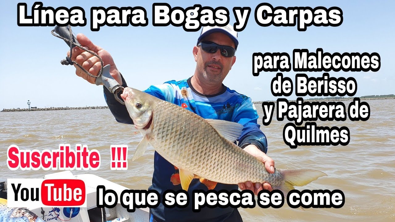 Linea de Bogas y Carpas - Para pajarera de Quilmes y Malecones de Berisso