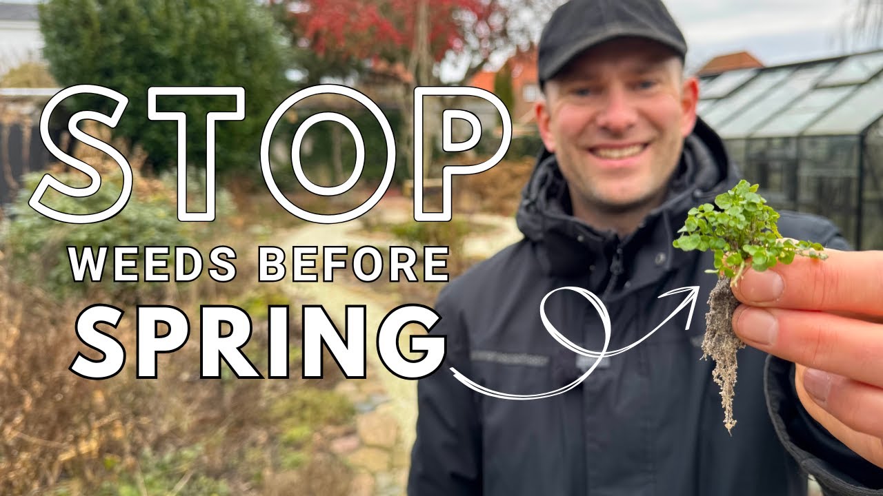 How to Stop Weeds EARLY! | Winter Weeding | Perennial Garden