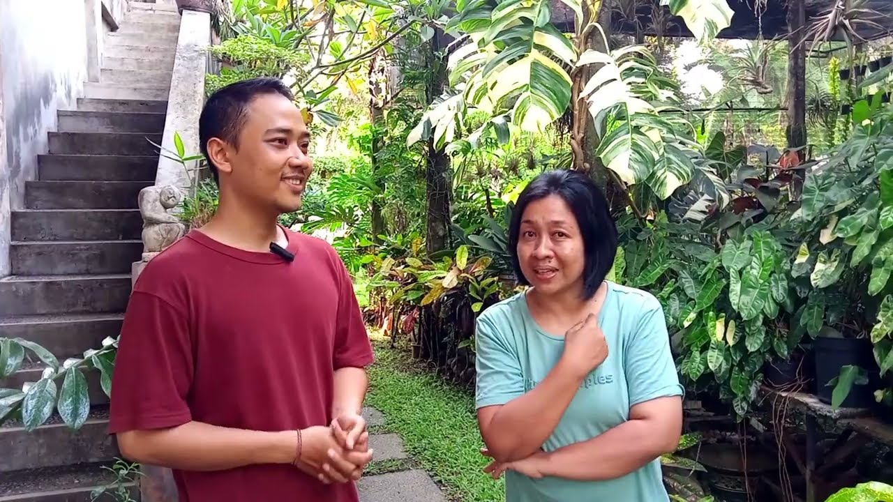 Anthurium Tumbuhanku di Pulau Bali