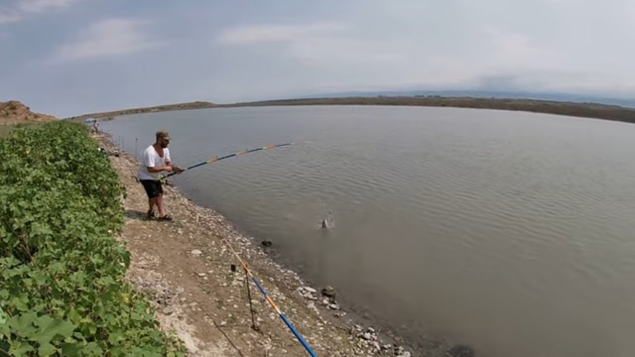 Рыбалка на Сазана на Дикой Реке. Ловля на Жмых. 
