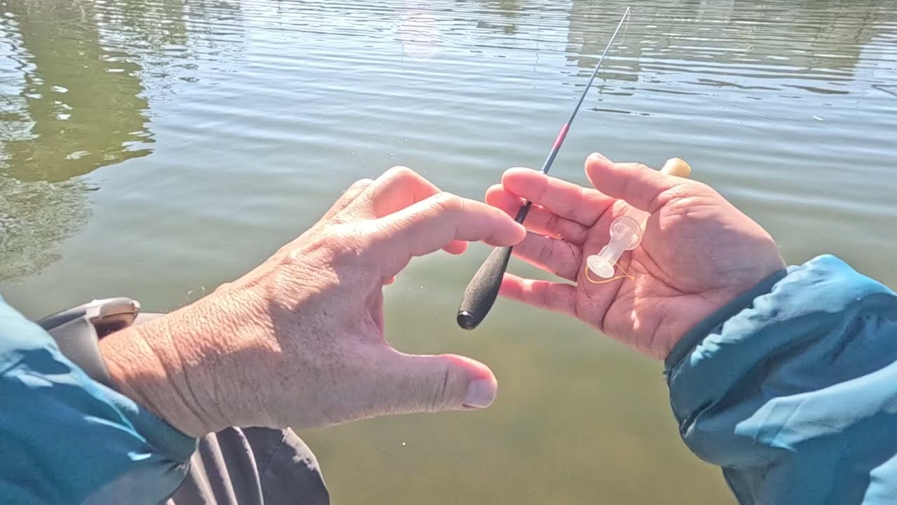 釣り納め🐟2025/12/30/TU☀️小物釣りで日向ぼっこ