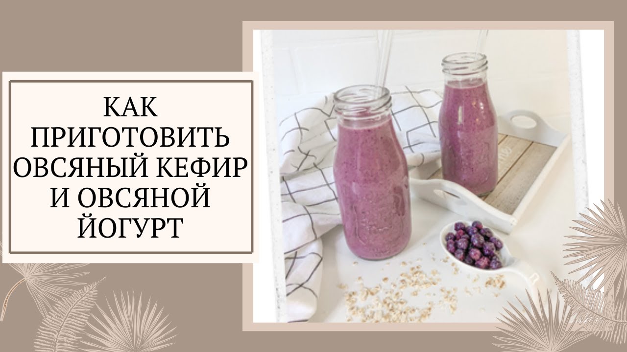 Как приготовить овсяный йогурт и овсяной кефир