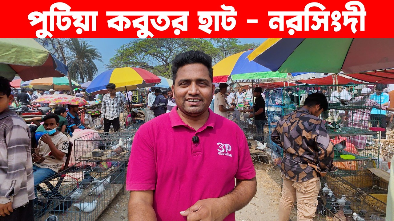 পুটিয়া কবুতর হাট ২৮-২-২০২৬ | Kobutor hat | Pigeon Market in Bangladesh | Putia Bazar Narsingdi