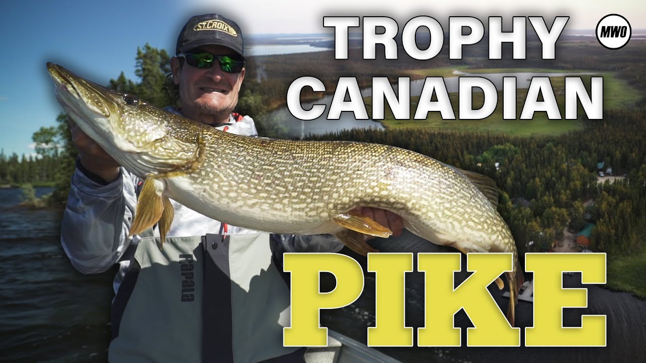 Big Pike in Saskatchewan