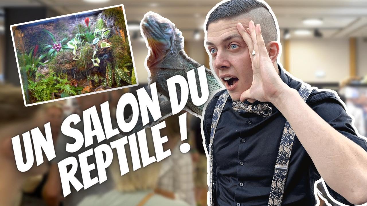 UNE BOURSE TROPICALE... DANS LE NORD !!! (Avec concours de Terrascaping !) - [Divers - Ep 2]