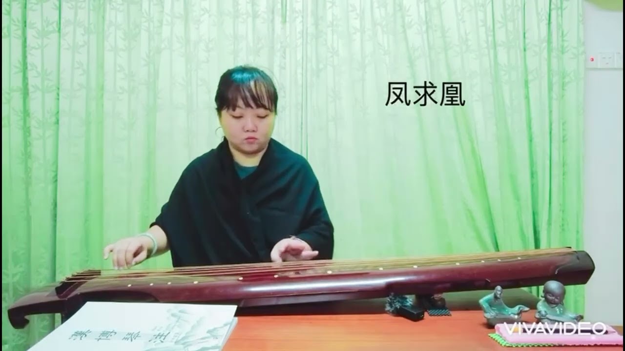 凤求凰 （Feng Qiu Huang）- Guqin performance by Leo Pei Pei
