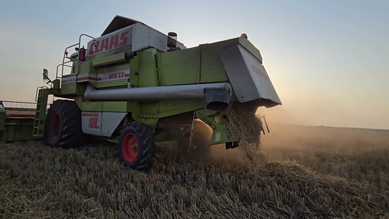 Żniwa 2024 - Claas Dominator 108 SL Maxi