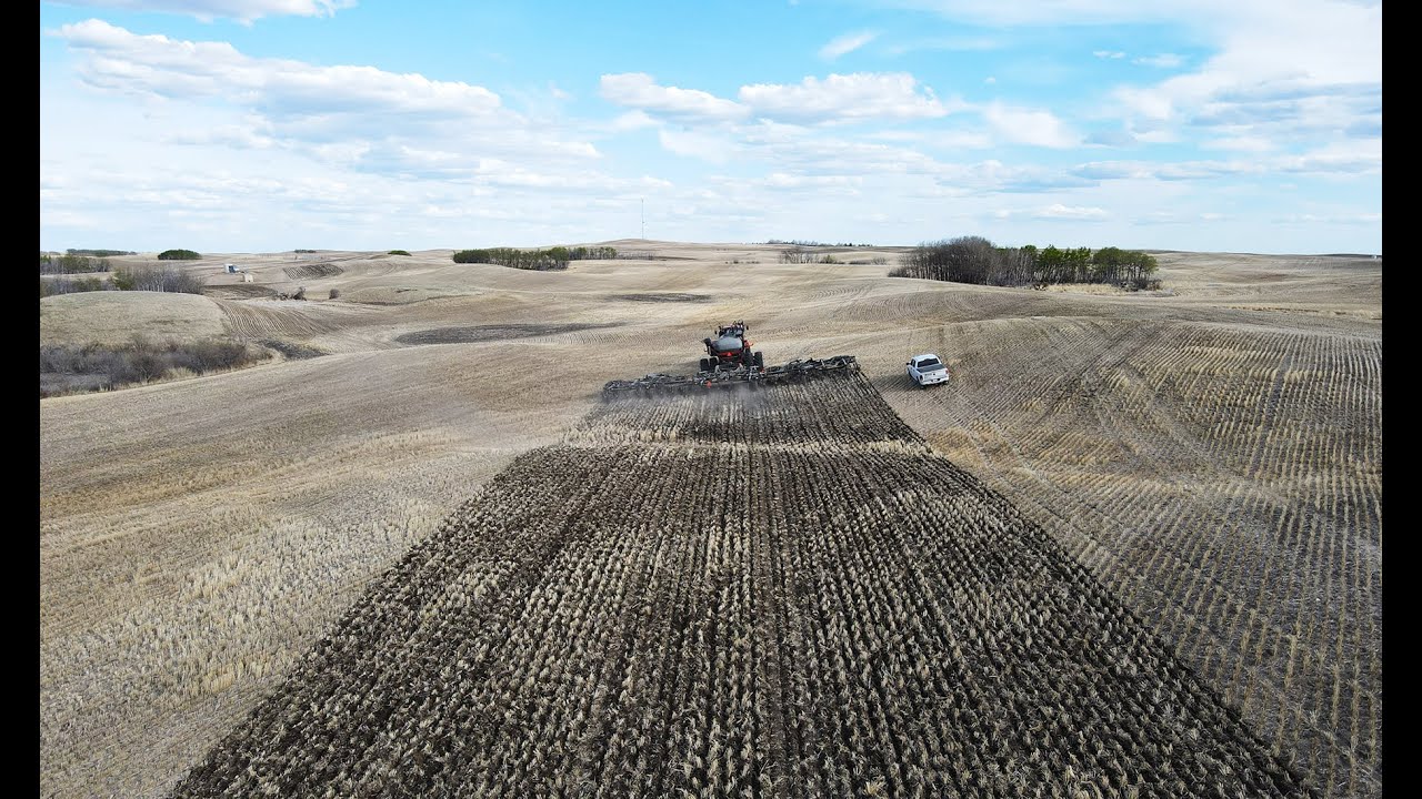 Dutch Agriculture: Universal Series