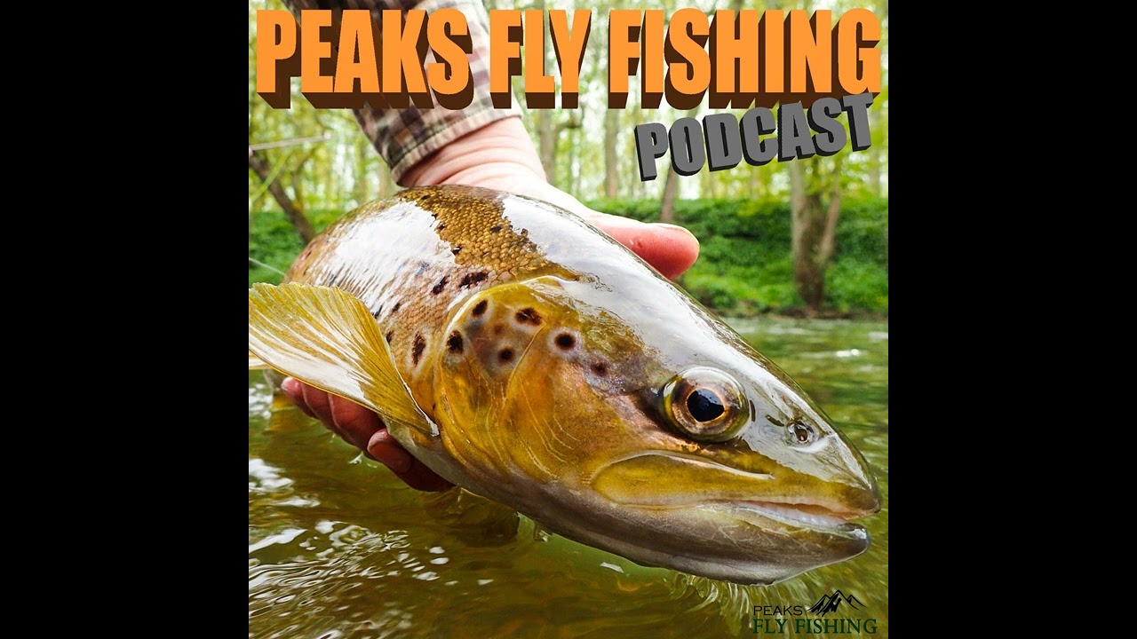 Fly Fishing Podcast - Summer Streamer Fishing