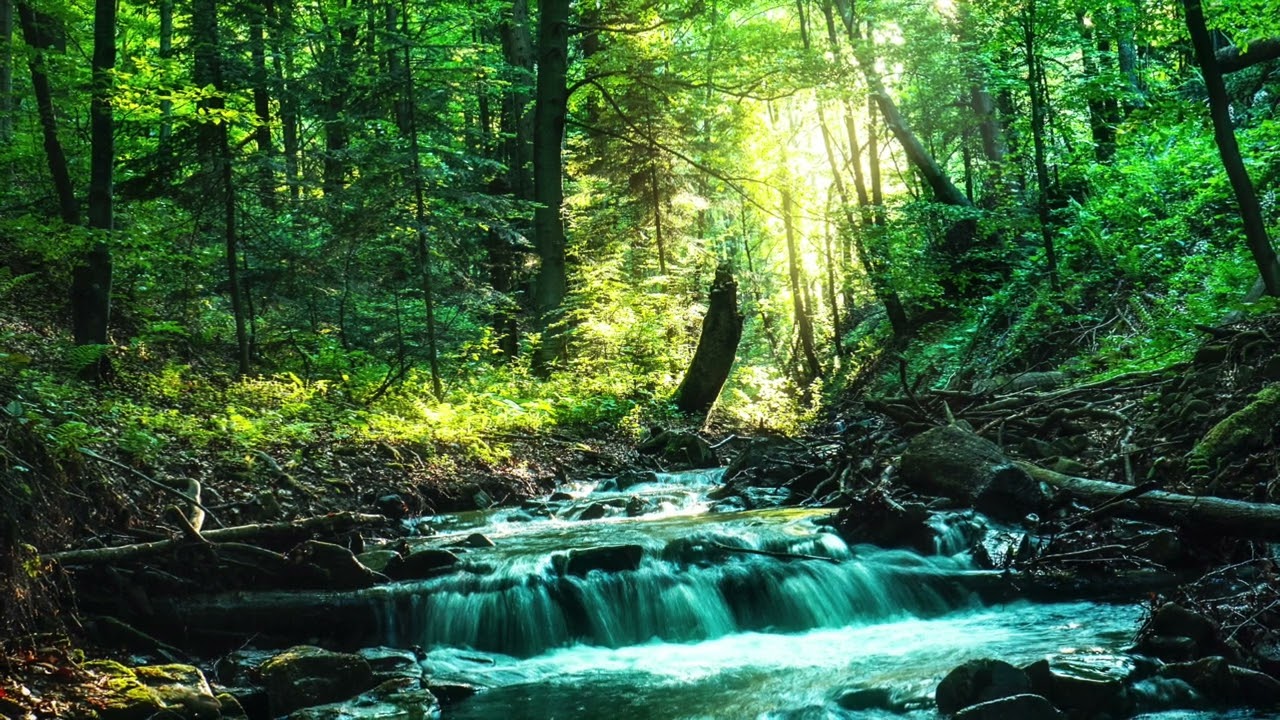 Mountain Stream Sound: SOUND EFFECTS