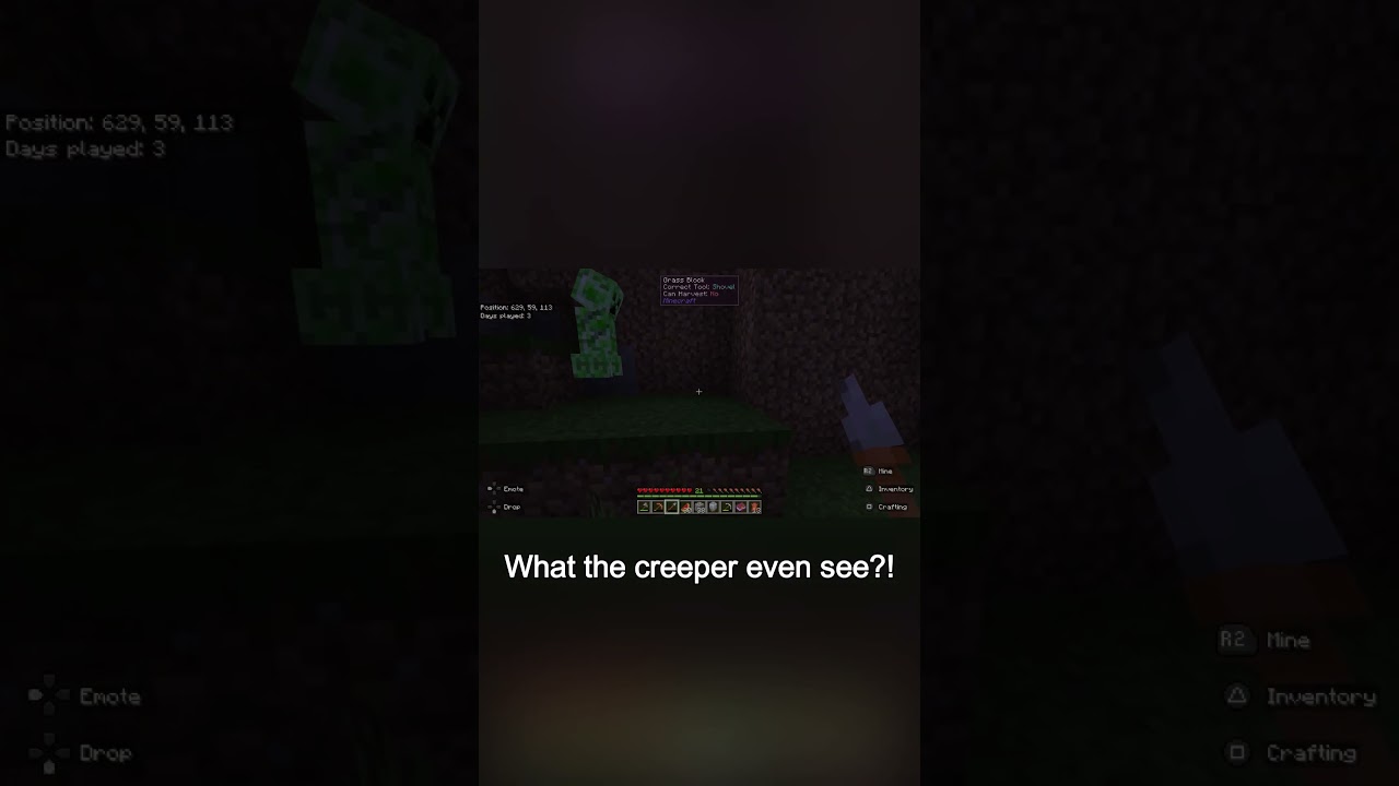 I guess there was a ghost creeper? #shorts #minecraft #rpg