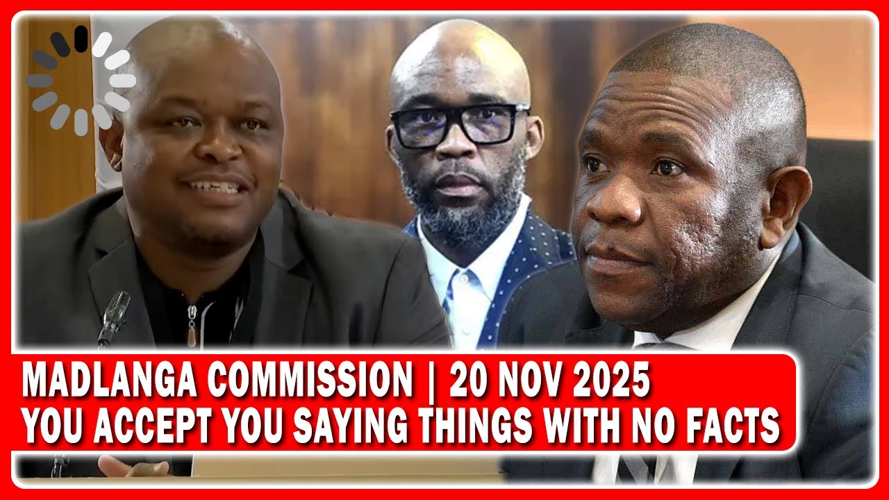 Brown Mogotsi THINKING OF LIES 😂 During Cross Examination By Madlanga Commissioners