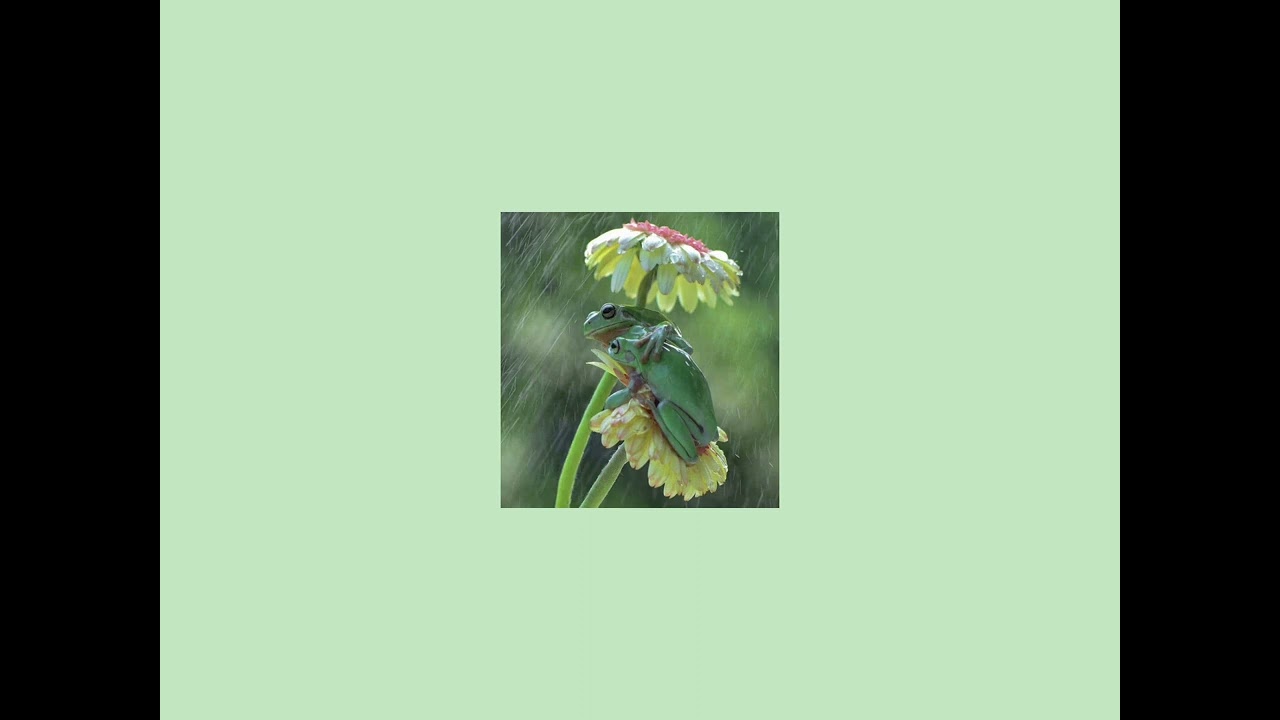 Cavetown songs that I love || Cavetown ||