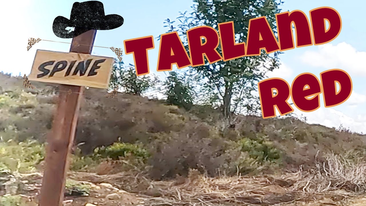 Spine - Tarland Red Mountain bike Trail Scotland #mtbscotland #mtb