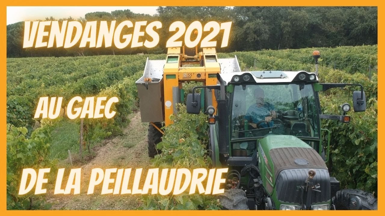Vendanges 2021 au GAEC de la PEILLAUDRIE 🍇