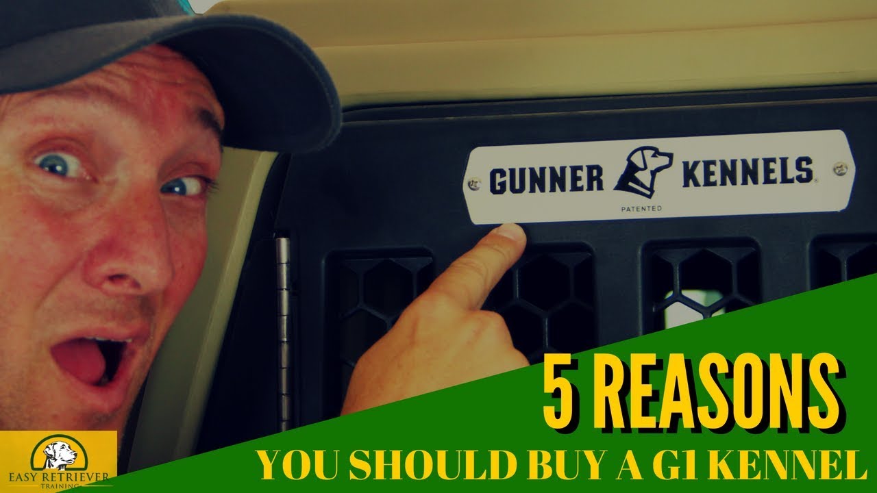 Best Crate for Large Dogs (Gunner Kennels G1 Review)