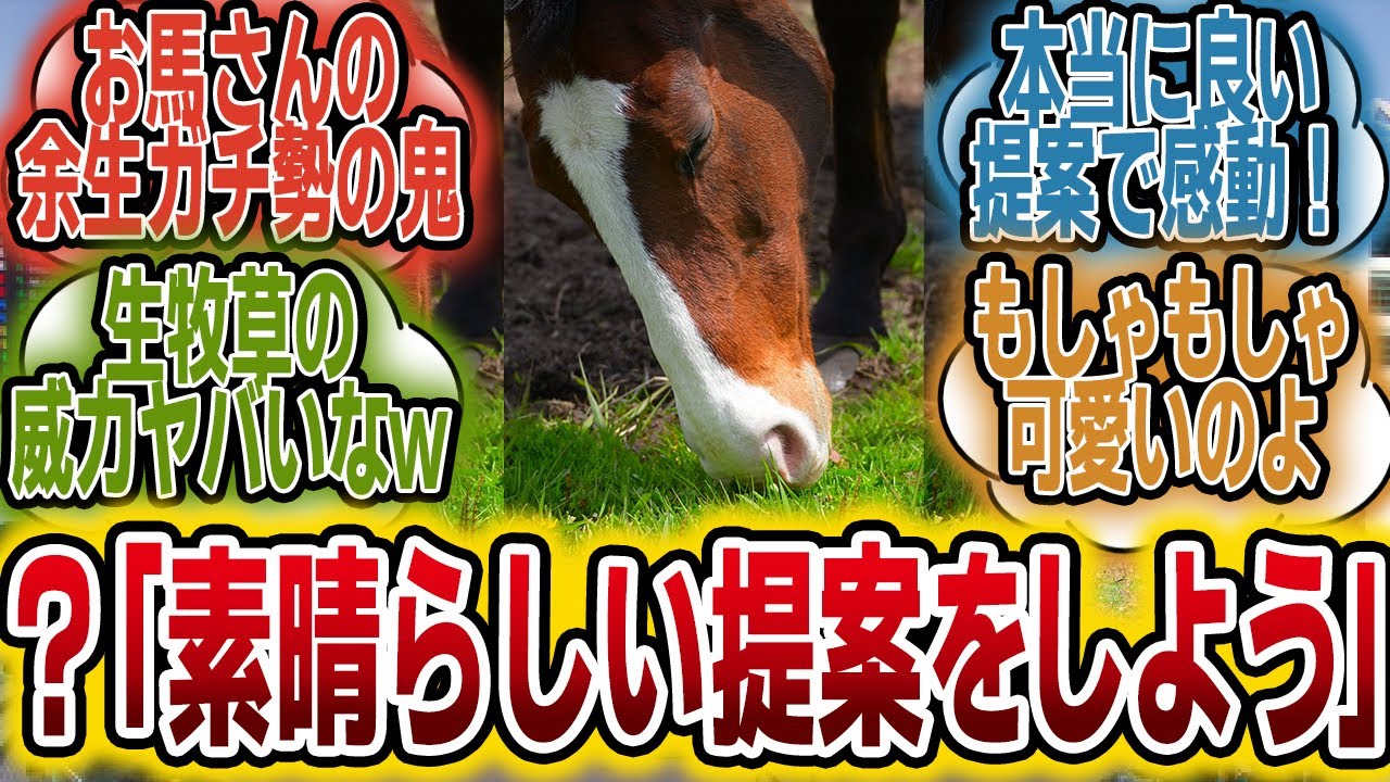 「あの方から引退馬・功労馬について素晴らしい提案があるようです」に対するみんなの反応【競馬の反応集】
