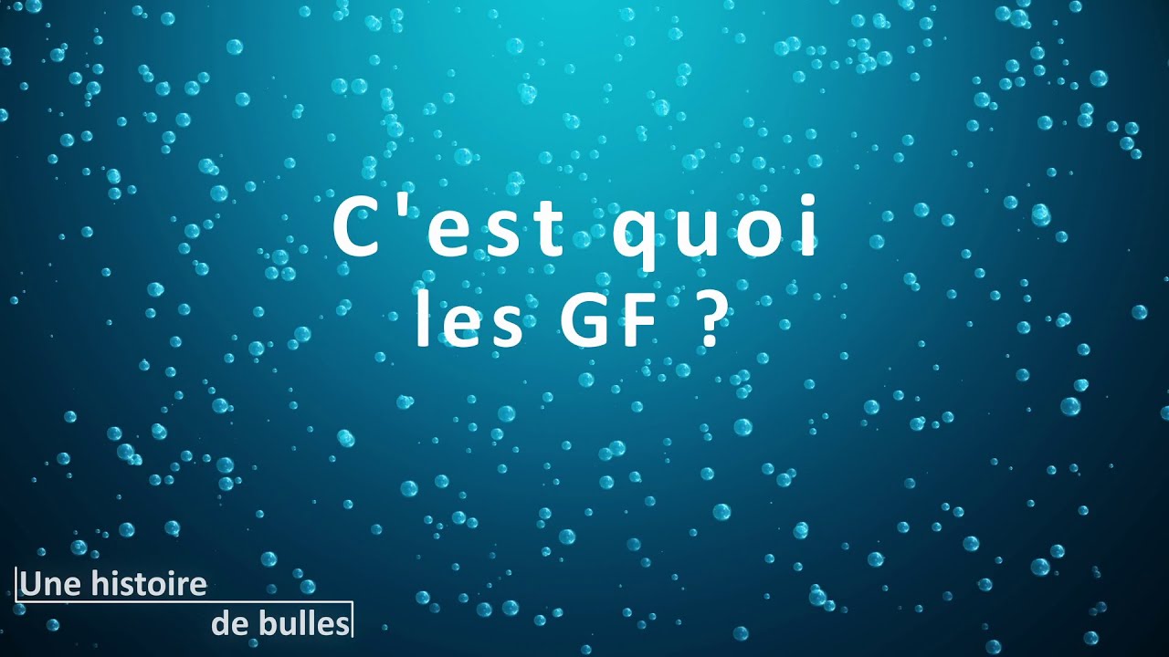 C'est quoi les GF ? - Une histoire de bulles 11