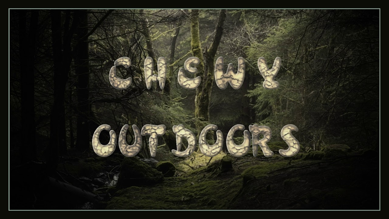 COFFEE IN THE WOODS 1