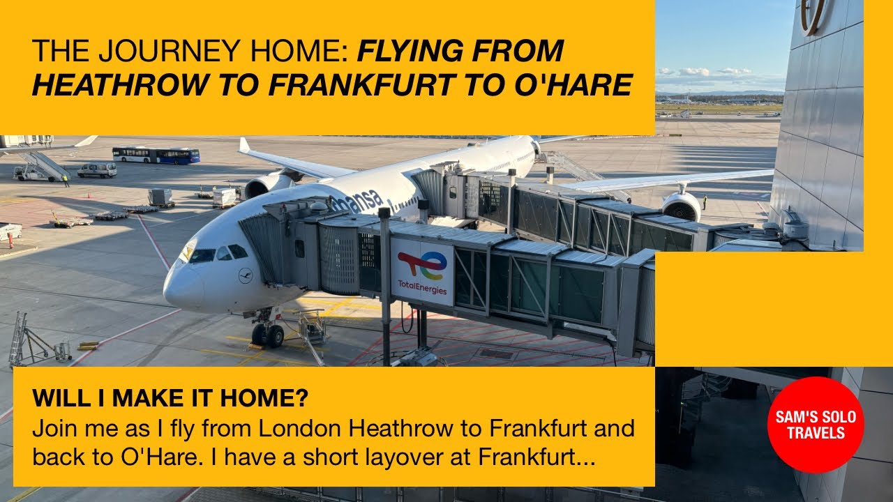 Flying Home from London Heathrow to Frankfurt to O'Hare! #heathrow #ohareairport #frankfurtairport