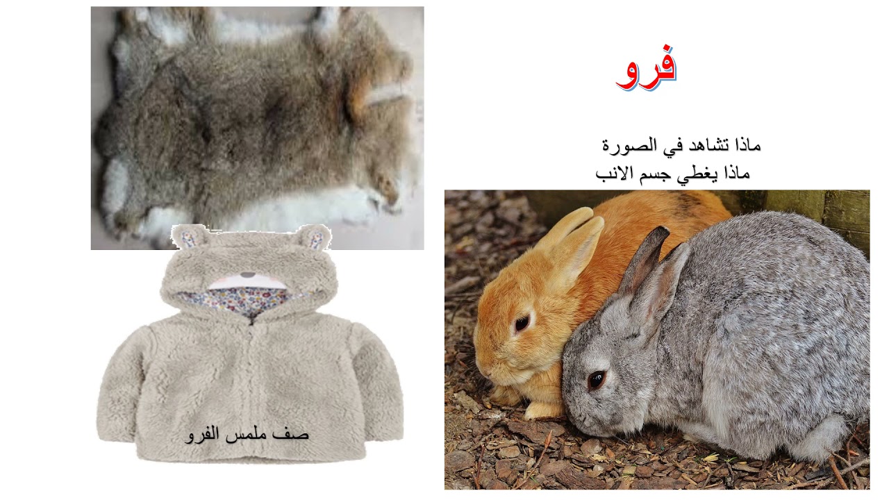 مصادر الملابس