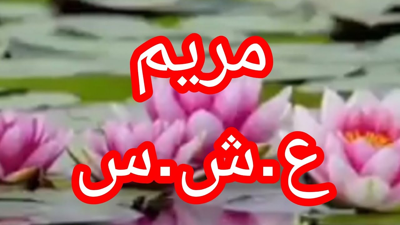 خواتات راجلي دارو فيا لفي وربي نتاقم منهم  وبالاخير شفوني